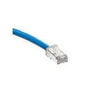Leviton 6As10-3L 6A 3Ft Blue Patch Cord