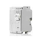 Leviton LB215-EP Branch Circuit Breaker Gfpe 2P 15A 120/240V 10Ka