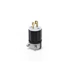 Leviton ML1-P 2P2W 15A 125V Locking Plug
