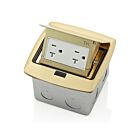 Leviton PFTR2-BR Pop-Up Floor Box W/20A Tamper-Resistant Receptacle Brass