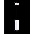 Eralux ELEGANZA AE-TL-EZ-40R-12-PC 20W LED Indoor Pendant