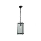 Artcraft Bradgate AC8135BK 1 Light Black 60W Outdoor Pendant