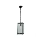 Artcraft Bradgate AC8145BK 1 Light 60W Outdoor Pendant
