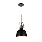 CWI Lighting Elisa 9845P9-101 Black 1 Light 60W Pendant
