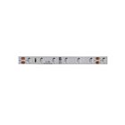 Dainolite DLT-48BL 4.8W 5M Blue LED Strip Light