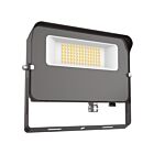 Eiko FL3-100W-750-UD-Y-PC 100W Flood Light