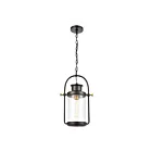 ELK Home Wexford 46672-1 Matte Black 1 Light 100W Outdoor Pendant