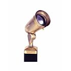 Focus Industries CDL-20-NL-EC 9W LED Directional Bullet Light