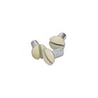 Leviton 86500-PRT Ivory Plate Screw 50/Bx