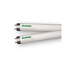 Ledvance FO17841XPECO3 17W 2' OCTRON T8 Fluorescent Tube