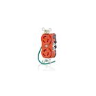 Leviton 4700-IG 15A 125V Receptacle