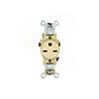 Leviton 5651-I 15A 250V Receptacle