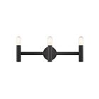 Livex Lighting 10343-04 Copenhagen 3-Lights 180W Black Bath Vanity Light