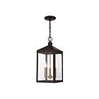 Livex Lighting 20593-07 Nyack 3-Lights 180W Bronze with Antique Brass Cluser Outdoor Pendant Light