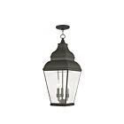 Livex Lighting 2597-04 Exeter 3-Lights 180W Black Outdoor Pendant Light