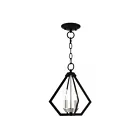 Livex Lighting Prism 40922-04 2-Lights 120W Black with Brushed Nickel Cluster Convertible Semi Flush Mount or Pendant