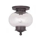 Livex Lighting Harbor 5036-07 1-Light 100W Ceiling Mount