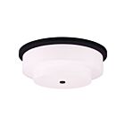Livex Lighting Meridian 50867-07 5-Lights 200W Ceiling Mount