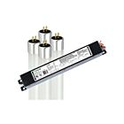 Maxlite L25T5EX440DR4L25 25W 4' Type-C T5 LED Tube - External Driver