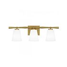 Quoizel Lighting Brindley BID8623BN 3-Lights Brushed Nickel 300W Vanity Light