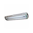 RAB Design FW2-2T8 34W Flourescent Vapourproof Fixture