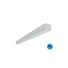 Reno Lighting RENO-LSN4-DV-MCCT-MW-MS LED 4' LED Linear Strip CCT Selectable
