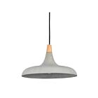Renwil Viola-May LPC4331 Textured - Black Powder Coated 40W Ceiling Fixture