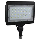 Satco 65-538R1 50W Bronze LED Flood light