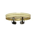 Satco 90-766 Two Light Ceiling Pan