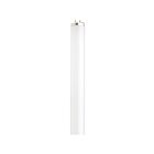 satco S26562 15W T12 Fluorescent Tube 4100K