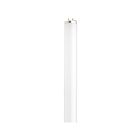 satco S26565 20W T12 Fluorescent Tube 4100K