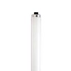 satco S6461 100W T12 Fluorescent Tube 6500K