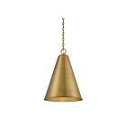 Savoy House Meridian M70112NB 1-Lights 60W Natural Brass Pendant