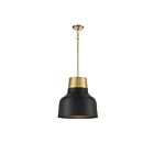 Savoy House Meridian M70115MBKNB 1-Lights 60W Matte Black with Natural Brass Pendant