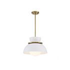 Savoy House Meridian M7026NB 1-Lights 60W Natural Brass Pendant