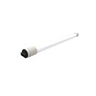 Tcp LT8R43B250K 42W 8' Ballast Bypass T8 LED Type B Tube