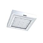 Venture Lighting cp45021 41w LED Garage Light