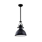 Young Lighting 3008P-BK 1-Light Pendant