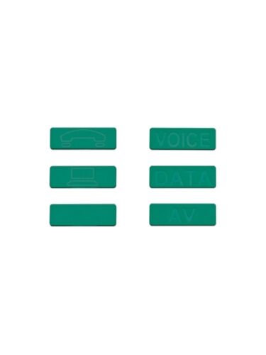 ICONS-ICV