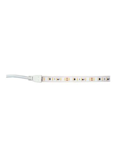 arani_st-120v-3w-30k