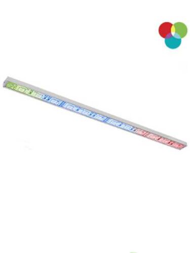 bazz_u1602r-1