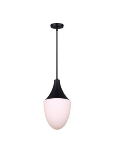 canarm_ipl1121a01bk