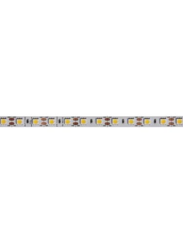 dainolite_dlt-17335