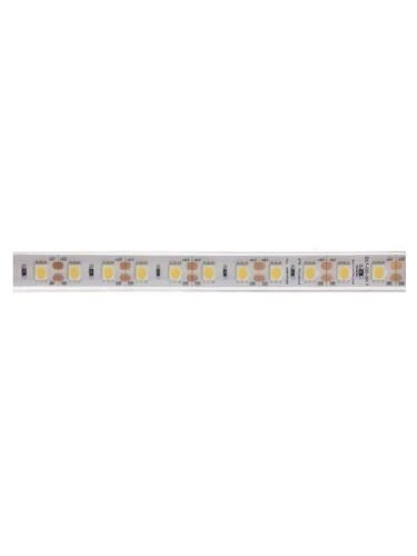dainolite_dlt-od-3517
