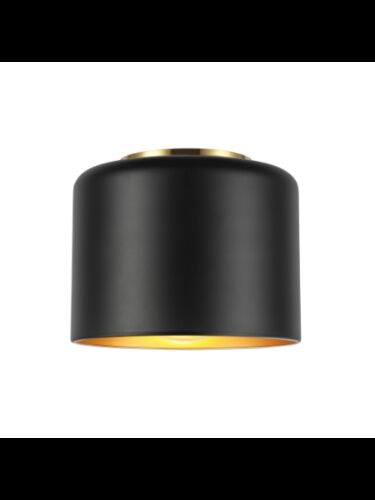 dainolite_emi-81fh-agb-mb