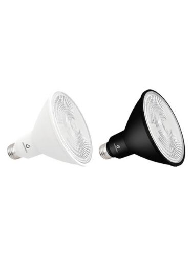 greencreative_15.5par38dim-927sp15