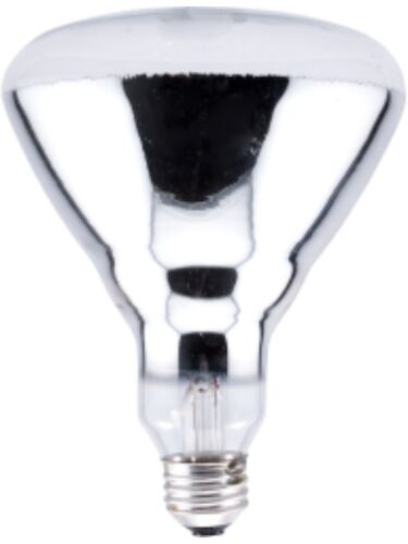 ledvance_250br40-1-120v