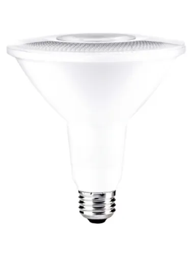 maxim-lighting_bl15par38ft120v30