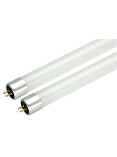 maxlite_l12t5se240-cg