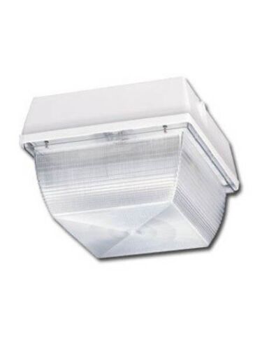 naturaled_led-fxscm42-50k-wh-sen